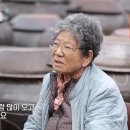 세상매실
