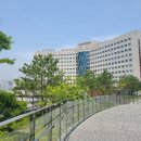 서울대병원 이미지