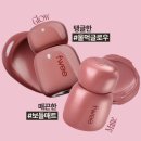 스테이핏 | [퓌] 로즈 옵세션 스테이핏 틴트 버니로즈 마이로즈 발색 후기 | 내돈내산