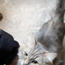 휘경동공영주차장 이미지