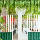 한화꿈에그린(55310) 이미지