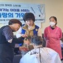 가위손 데일리와이