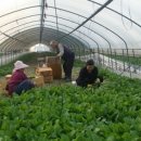 열무네집 이미지