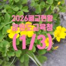 가산초 품걸분교장 | 강원도교육청 폐교 현황 (1/3) (2026. 3. 1 기준) 입니다.