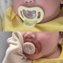 7168 | 신생아 첫 입문용 쪽쪽이 비교｜필립스 아벤트 울트라 소프트 vs 더블하트 소프트 바디 내돈내산