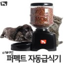 슈퍼멍캣