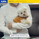 모라스테이 | [입양후기] 모라의 입양을 축하해 주세요!