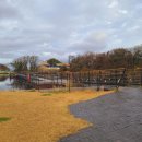 에코랜드수영장 수영장 이미지