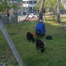 목감메트로타워1차 이미지