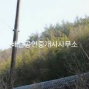 보성목장 이미지