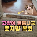 고양이발자국 | 문지방수리 문틀 긁힘 복원 후기_구로구 고양이 발톱자국