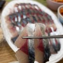청파사 | 구좌 고등어회 맛집, 활고등어의 차원이 다른 청파식당횟집 내돈내산 후기