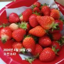 삼진떡방앗간 이미지