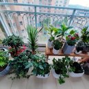 당진으뜸공인중개사사무소 이미지