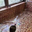 아틴해우 이미지