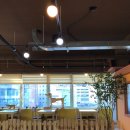 보니또펫 이미지