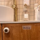 스테이 릴리 이미지