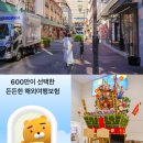 일본 여행자보험 카카오페이 해외여행보험 가입 환급까지 솔직 후기