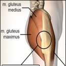 마디척의원 이미지