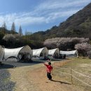 진주1단지경로당 | 아이랑 월아산 숲속의진주, 산림레포츠단지 네트어드벤처⚡