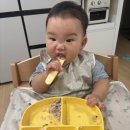 짱영양계란빵 | 토핑이유식 그리고 중기, 후기부터 자기 주도 이유식 시작
