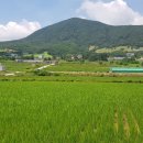 신우한우농장 이미지