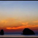 꽃돌농장 이미지