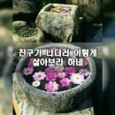 친구가 나더러 이렇게 살아보라 하네 이미지