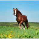 퇴계천길 | 가을(秋)을 노래한 한시[漢詩]