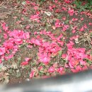 하신중앙로239번길 네이버블로그