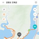 선기 이미지