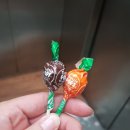 판도라노래방