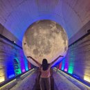 와인조형물 | 김해와인동굴 비오는날가볼만한곳 낙동강 레일파크 와인터널 방문 후기