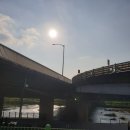 평촌역 1번출구 1-2 | ♤안양천상류코스 걷기(독산역2번-금천구청역-기아대교-석수역-관악역-평촌역1번)