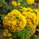 서라벌문예원 &amp; 서라벌문인협회 2011년 가을 문학 기행 안내(10월 22일~23일)~~ 이미지