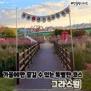 세븐일레븐 안동강변이편한점 | 가을에 즐길 수 있는 특별한 여행 그라스원