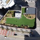 애견호텔 도그캐슬 다산점 | 경기도 남양주 실내카페 호텔링 유치원 (남양주 애견유치원, 강아지호텔,애견호텔) - 도그베이 다산점