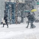 전주전가 이미지