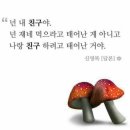다온심리상담센터 이미지