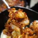 낙지의 품격 이미지