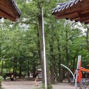 설악동에서 육담폭포지나 비룡폭포 가는길 (2026.8.19.수) 이미지