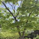 숲속예능어린이집 이미지