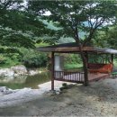 화촌면행정복지센터 주차장 네이버블로그