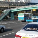 ㈜대도운수 이미지