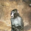 영은목장 이미지