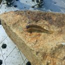 김촌저수지 이미지