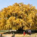 장수서창동-14 이미지