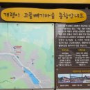#전남에서먼저살아보기-#농협청년농부사관학교1차 팸투어 (1-2일차)