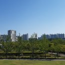 부산시민공원 이미지