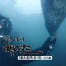 글꼴연구소붓소리 이미지